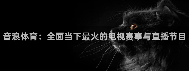 五星体育直播在线直播：音浪体育：全面当下最火的电视赛事与直播节目