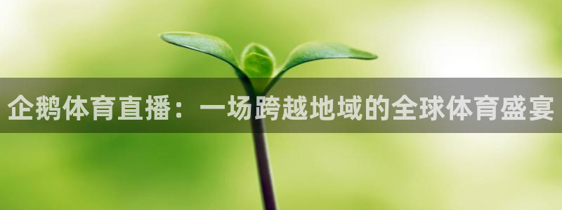 五星体育公司：企鹅体育直播：一场跨越地域的全球体育盛宴