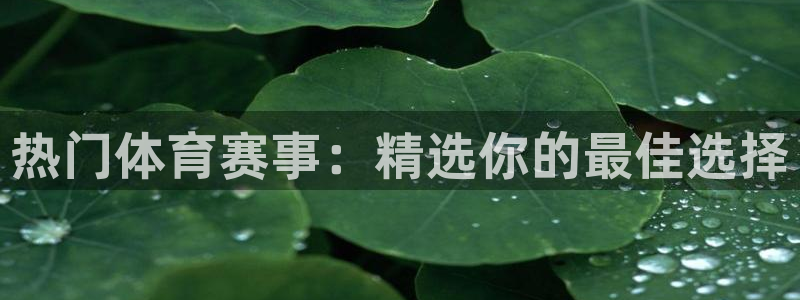 今日五星体育斯诺克直播：热门体育赛事：精选你的最佳选择