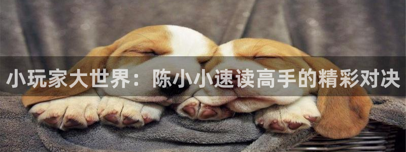 五星体育直播nba：小玩家大世界：陈小小速读高手的精彩对决