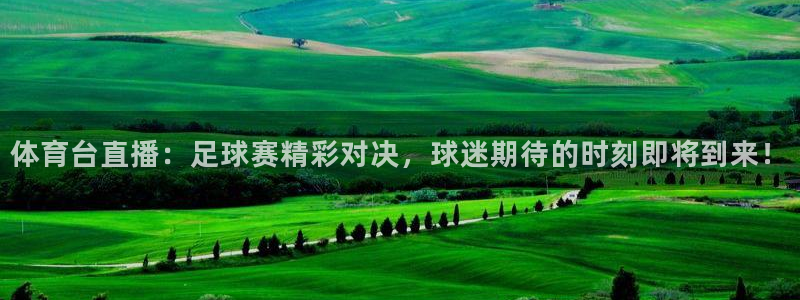 上海五星体育广播：体育台直播：足球赛精彩对决，球迷期待的时刻即将到来！