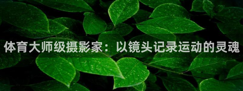 五星体育直播观看节目表：体育大师级摄影家：以镜头记录运动的灵魂