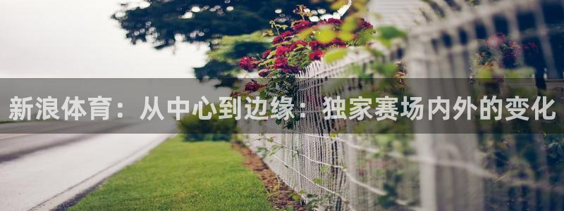 今天五星体育节目单：新浪体育：从中心到边缘：独家赛场内外的变化