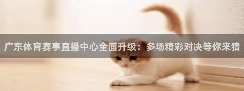 五星体育直播吧