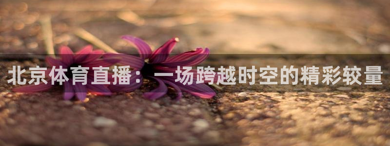 五星体育频道直播马拉松：北京体育直播：一场跨越时空的精彩较量